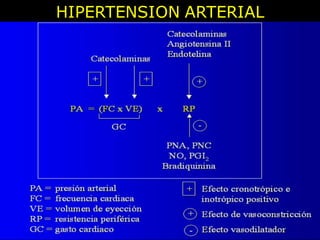 HIPERTENSION ARTERIAL
 