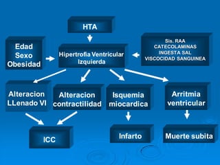 HTA
Hipertrofia Ventricular
Izquierda
Arritmia
ventricular
Muerte subita
Isquemia
miocardica
Infarto
Alteracion
contractilidad
ICC
Alteracion
LLenado VI
Edad
Sexo
Obesidad
Sis. RAA
CATECOLAMINAS
INGESTA SAL
VISCOCIDAD SANGUINEA
 