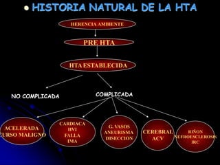  HISTORIA NATURAL DE LA HTA
HERENCIA AMBIENTE
PRE HTA
HTAESTABLECIDA
ACELERADA
CURSO MALIGNO
CARDIACA
HVI
FALLA
IMA
G. VASOS
ANEURISMA
DISECCION
CEREBRAL
ACV
RIÑON
NEFROESCLEROSIS
IRC
COMPLICADANO COMPLICADA
 