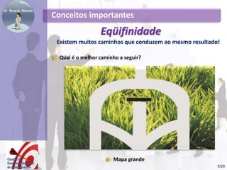 Conceitos importantes
Eqüifinidade
Existem muitos caminhos que conduzem ao mesmo resultado!
Qual é o melhor caminho a seguir?
Mapa pequeno
Mapa grande
9/20
 