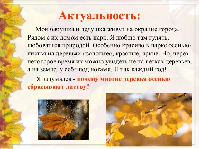 Zadaniya Na Vnimanie I Logiku Derevya I Ih Listya Listya Rubriki Dlya Detej