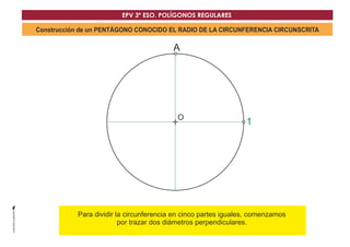 EPV 3º ESO. POLÍGONOS REGULARES 
Construcción de un PENTÁGONO CONOCIDO EL RADIO DE LA CIRCUNFERENCIA CIRCUNSCRITA 
A 
O 
1 
Para dividir la circunferencia en ciDnco partes iguales, comenzamos 
por trazar dos diámetros perpendiculares. 
 