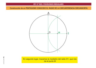 EPV 3º ESO. POLÍGONOS REGULARES 
Construcción de un PENTÁGONO CONOCIDO EL RADIO DE LA CIRCUNFERENCIA CIRCUNSCRITA 
A 
O 
M 1 
En segundo lugar, trazamos la mDediatriz del radio O1, que nos 
da el punto M 
 