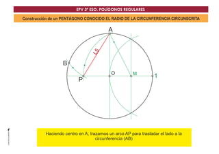 EPV 3º ESO. POLÍGONOS REGULARES 
Construcción de un PENTÁGONO CONOCIDO EL RADIO DE LA CIRCUNFERENCIA CIRCUNSCRITA 
A 
O 
P 1 
B 
L5 
M 
Haciendo centro en A, trazamos un Darco AP para trasladar el lado a la 
circunferencia (AB) 
 