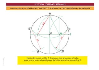 EPV 3º ESO. POLÍGONOS REGULARES 
Construcción de un PENTÁGONO CONOCIDO EL RADIO DE LA CIRCUNFERENCIA CIRCUNSCRITA 
D 
A 
O 
P 1 
B 
L5 
C 
L5 
E 
L5 
M 
Haciendo centro en B y E trazamos dos arcos con el radio 
igual que el lado del pentágono. Así obtenemos los puntos C y D 
D 
 
