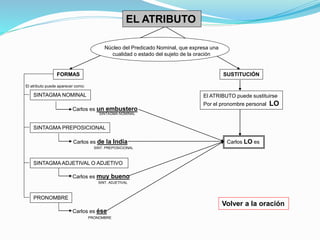 EL ATRIBUTO 
Núcleo del Predicado Nominal, que expresa una 
cualidad o estado del sujeto de la oración 
FORMAS SUSTITUCIÓN 
Volver a la oración 
El atributo puede aparecer como: 
SINTAGMA NOMINAL 
SINTAGMA PREPOSICIONAL 
SINT. PREPOSICIONAL 
SINTAGMA ADJETIVAL O ADJETIVO 
PRONOMBRE 
Carlos es un embustero 
SINTAGMA NOMINAL 
Carlos es de la India 
Carlos es muy bueno 
SINT. ADJETIVAL 
Carlos es ése 
PRONOMBRE 
El ATRIBUTO puede sustituirse 
Por el pronombre personal LO 
Carlos LO es 
 
