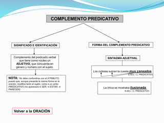 COMPLEMENTO PREDICATIVO 
Complemento del predicado verbal 
que tiene como núcleo un 
ADJETIVO, que concuerda en 
género y número con el sujeto. 
FORMA DEL COMPLEMENTO PREDICATIVO 
SINTAGMA ADJETIVAL 
Los ciclistas subían la cuesta muy cansados 
S.ADJ. / C. PREDICATIVO 
SIGNIFICADO E IDENTIFICACIÓN 
La chica se mostraba ilusionada 
NOTA: No debe confundirse con el ATRIBUTO, 
puesto que, aunque presente la misma forma en la 
oración, modifica tanto al sujeto, como a un verbo 
PREDICATIVO (no aparecerá ni SER, ni ESTAR, ni 
PARECER). 
S.ADJ. / C. PREDICATIVO 
Volver a la ORACIÓN 
 