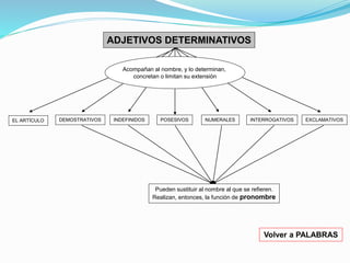 ADJETIVOS DETERMINATIVOS 
Acompañan al nombre, y lo determinan, 
concretan o limitan su extensión 
EL ARTÍCULO DEMOSTRATIVOS INDEFINIDOS POSESIVOS NUMERALES INTERROGATIVOS EXCLAMATIVOS 
Pueden sustituir al nombre al que se refieren. 
Realizan, entonces, la función de pronombre 
Volver a PALABRAS 
 