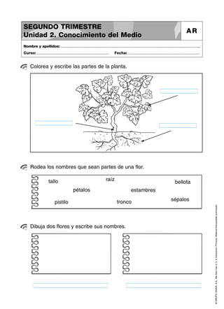 Lengua para niños 2 | PDF