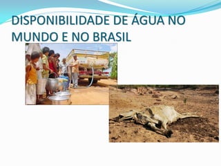 DISPONIBILIDADE DE ÁGUA NO
MUNDO E NO BRASIL
 