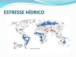 ESTRESSE HÍDRICO
 