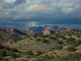 Arizona