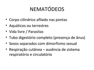 NEMATÓDEOS
• Corpo cilíndrico afilado nas pontas
• Aquáticos ou terrestres
• Vida livre / Parasitas
• Tubo digestório completo (presença de ânus)
• Sexos separados com dimorfismo sexual
• Respiração cutânea – ausência de sistema
respiratório e circulatório
 