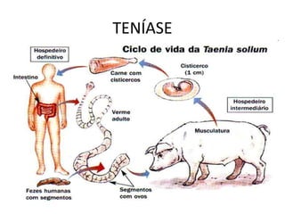 TENÍASE
 