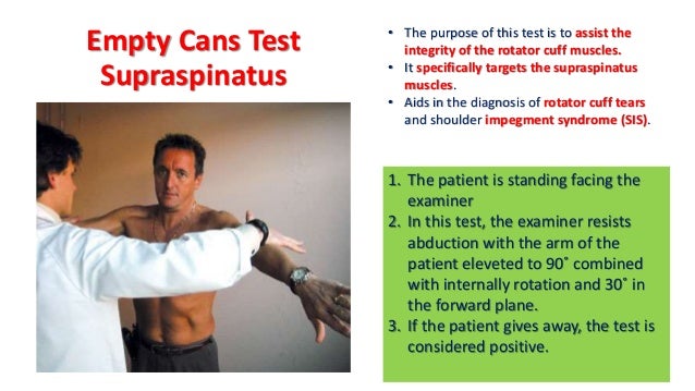 02 Shoulder Examination 02 Shoulder Examination