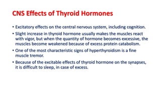 02. thyroid physiology Slide 19