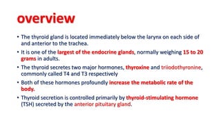 02. thyroid physiology Slide 2