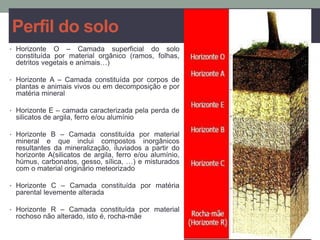 Perfil do solo
• Horizonte O – Camada superficial do solo
constituída por material orgânico (ramos, folhas,
detritos vegetais e animais…)
• Horizonte A – Camada constituída por corpos de
plantas e animais vivos ou em decomposição e por
matéria mineral
• Horizonte E – camada caracterizada pela perda de
silicatos de argila, ferro e/ou alumínio
• Horizonte B – Camada constituída por material
mineral e que inclui compostos inorgânicos
resultantes da mineralização, iluviados a partir do
horizonte A(silicatos de argila, ferro e/ou alumínio,
húmus, carbonatos, gesso, sílica, …) e misturados
com o material originário meteorizado
• Horizonte C – Camada constituída por matéria
parental levemente alterada
• Horizonte R – Camada constituída por material
rochoso não alterado, isto é, rocha-mãe
 