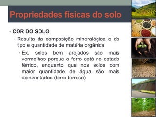 • COR DO SOLO
• Resulta da composição mineralógica e do
tipo e quantidade de matéria orgânica
• Ex. solos bem arejados são mais
vermelhos porque o ferro está no estado
férrico, enquanto que nos solos com
maior quantidade de água são mais
acinzentados (ferro ferroso)
Propriedades físicas do solo
 