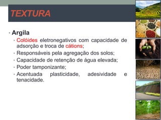 TEXTURA
• Argila
• Colóides eletronegativos com capacidade de
adsorção e troca de cátions;
• Responsáveis pela agregação dos solos;
• Capacidade de retenção de água elevada;
• Poder tamponizante;
• Acentuada plasticidade, adesividade e
tenacidade.
 