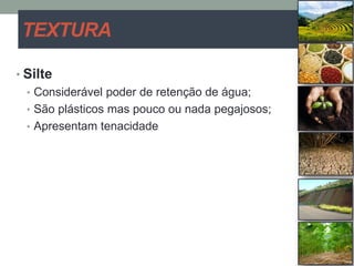TEXTURA
• Silte
• Considerável poder de retenção de água;
• São plásticos mas pouco ou nada pegajosos;
• Apresentam tenacidade
 