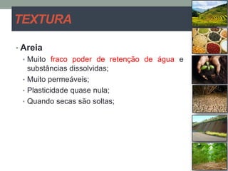 TEXTURA
• Areia
• Muito fraco poder de retenção de água e
substâncias dissolvidas;
• Muito permeáveis;
• Plasticidade quase nula;
• Quando secas são soltas;
 