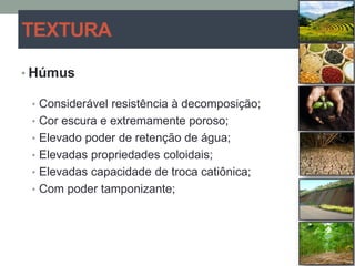 TEXTURA
• Húmus
• Considerável resistência à decomposição;
• Cor escura e extremamente poroso;
• Elevado poder de retenção de água;
• Elevadas propriedades coloidais;
• Elevadas capacidade de troca catiônica;
• Com poder tamponizante;
 