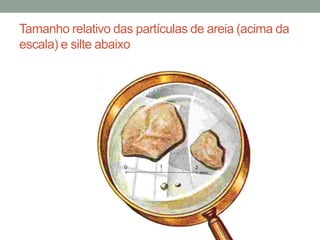 Tamanho relativo das partículas de areia (acima da
escala) e silte abaixo
 