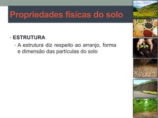 • ESTRUTURA
• A estrutura diz respeito ao arranjo, forma
e dimensão das partículas do solo
Propriedades físicas do solo
 