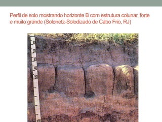 Perfil de solo mostrando horizonte B com estrutura colunar, forte
e muito grande (Solonetz-Solodizado de Cabo Frio, RJ)
 