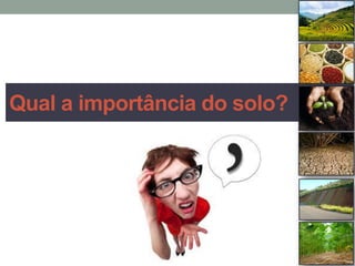 Qual a importância do solo?
 