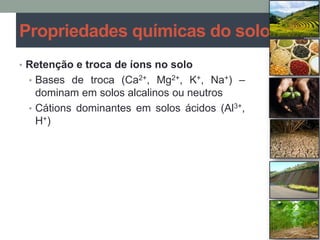 Propriedades químicas do solo
• Retenção e troca de íons no solo
• Bases de troca (Ca2+, Mg2+, K+, Na+) –
dominam em solos alcalinos ou neutros
• Cátions dominantes em solos ácidos (Al3+,
H+)
 