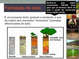 Formação do solo
• É um processo lento, gradual e constante, o que
dá origem aos chamados “horizontes” (camadas
diferenciadas de solo)
Estima-se que sejam
necessários 100.000 anos
para que se formem 30cm de
solo a partir da rocha-mãe
numa região úmida.
 
