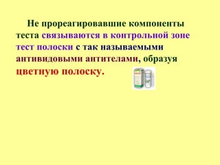 Не прореагировавшие компоненты
теста связываются в контрольной зоне
тест полоски с так называемыми
антивидовыми антителами, образуя
цветную полоску.
 