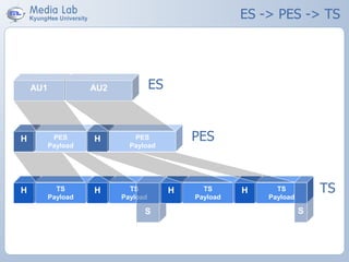 ES -> PES -> TS
ESAU1 AU2
H PES
Payload
H PES
Payload
H TS
Payload
H TS
Payload
PES
TS
S
H TS
Payload
H TS
Payload
S
 