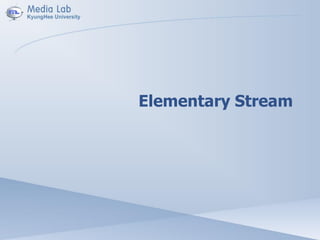 Elementary Stream
 