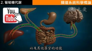 2. 葡萄糖代謝 腸道系統科學概論
 