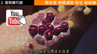 2. 葡萄糖代謝 胰島素 喚醒細胞 吸收 葡萄糖
 