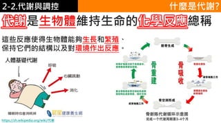2. 葡萄糖代謝 什麼是代謝?
這些反應使得生物體能夠生長和繁殖、
保持它們的結構以及對環境作出反應。
https://zh.wikipedia.org/wiki/代谢
代謝是生物體維持生命的化學反應總稱
2-2.代謝與調控
 