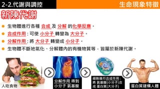 2. 葡萄糖代謝 生命現象特徵
新陳代謝
 生物體進行各種 合成 及 分解 的化學反應。
 合成作用 : 可使 小分子 轉變為 大分子。
 分解作用 : 將 大分子 轉變成 小分子。
 生物體不斷地氧化、分解體內的有機物質等，皆屬於新陳代謝。
人吃食物
分解作用 得到
小分子 氨基酸
細胞進行合成作用 :
將 氨基酸(小分子)合
成 蛋白質(大分子) 蛋白質建構人體
2-2.代謝與調控
 