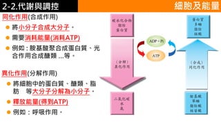 2. 葡萄糖代謝1-４. 細胞及能量 細胞及能量
同化作用(合成作用)
 將小分子合成大分子。
 需要消耗能量(消耗ATP)
 例如 : 胺基酸聚合成蛋白質、光
合作用合成醣類 …等。
異化作用(分解作用)
 將細胞中的蛋白質、醣類、脂
肪 等大分子分解為小分子。
 釋放能量(得到ATP)
 例如：呼吸作用。
2-2.代謝與調控
 
