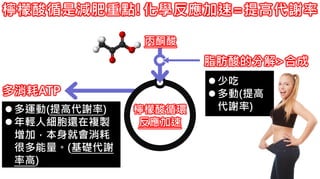 2. 葡萄糖代謝檸檬酸循是減肥重點!化學反應加速=提高代謝率
多消耗ATP
檸檬酸循環
反應加速
脂肪酸的分解>合成
丙酮酸
多運動(提高代謝率)
年輕人細胞還在複製
增加，本身就會消耗
很多能量。(基礎代謝
率高)
少吃
多動(提高
代謝率)
 