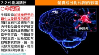 2. 葡萄糖代謝2-2.代謝與調控
牛磺酸
營養成分對代謝的影響
牛磺酸能加速神經元的
增生以及延長的作用。
同時亦有利於細胞在腦
內移動及增長神經軸突。
另外在維持細胞膜的電
位平衡方面，牛磺酸亦
同樣重要。因為它能幫
助電解質如鉀、鈉、鈣
及鎂質進出細胞，從而
加強腦部的機能。
神經元
大腦
https://zh.wikipedia.org/wiki/牛磺酸
 