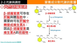 2. 葡萄糖代謝2-2.代謝與調控
天然胡蘿蔔素
β-胡蘿蔔素可存在
肝臟與體脂肪中，
需要時可在肝臟中
轉變成維生素A，
因此β-胡蘿蔔素是
維生素A的前趨物。
β-胡蘿蔔素
維生素A醛
維生素Ahttps://zh.wikipedia.org/wiki/胡蘿蔔素
營養成分對代謝的影響
 