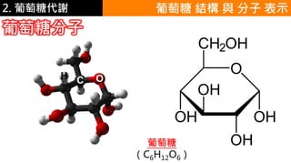 2. 葡萄糖代謝 葡萄糖 結構 與 分子 表示
葡萄糖分子
C OH
葡萄糖
（C6H12O6）
 
