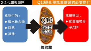 2. 葡萄糖代謝 Q10是化學能量傳遞的必要媒介2-2.代謝與調控
 