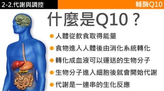 2. 葡萄糖代謝
人體從飲食取得能量
食物進入人體後由消化系統轉化
轉化成血液可以運送的生物分子
生物分子進入細胞後就會開始代謝
代謝是一連串的生化反應
什麼是Q10 ?
輔酶Q102-2.代謝與調控
 