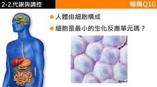 2. 葡萄糖代謝
人體由細胞構成
細胞是最小的生化反應單元嗎？
輔酶Q102-2.代謝與調控
 