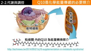 2. 葡萄糖代謝
http://technews.tw/2014/09/21/q10-supplementation-in-metabolic-syndrome/
Q10是化學能量傳遞的必要媒介2-2.代謝與調控
 