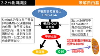 2. 葡萄糖代謝 瞭解自由基2-2.代謝與調控
供應不足
檸檬酸循環 轉換出
ATP效率降低
 